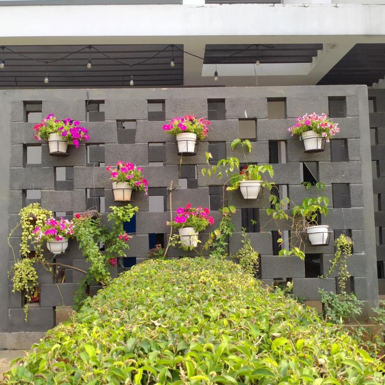 Eco Green Villa - Oceanami - Long Hải - 3&4 Phòng Ngủ Long Hai Exterior foto